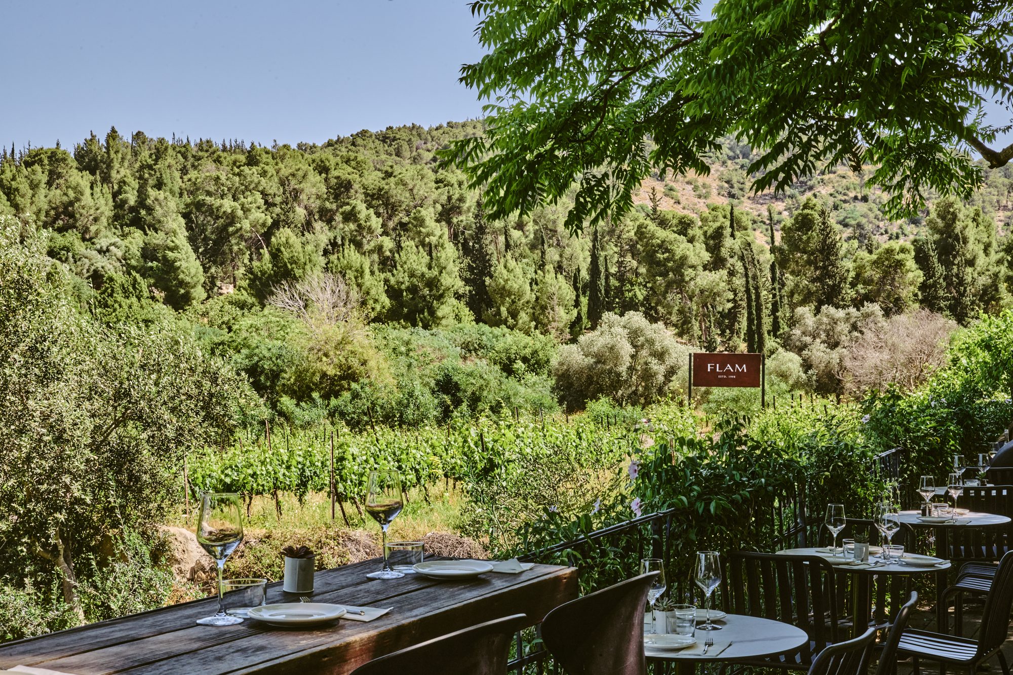 Winery terrace overlooking the forest