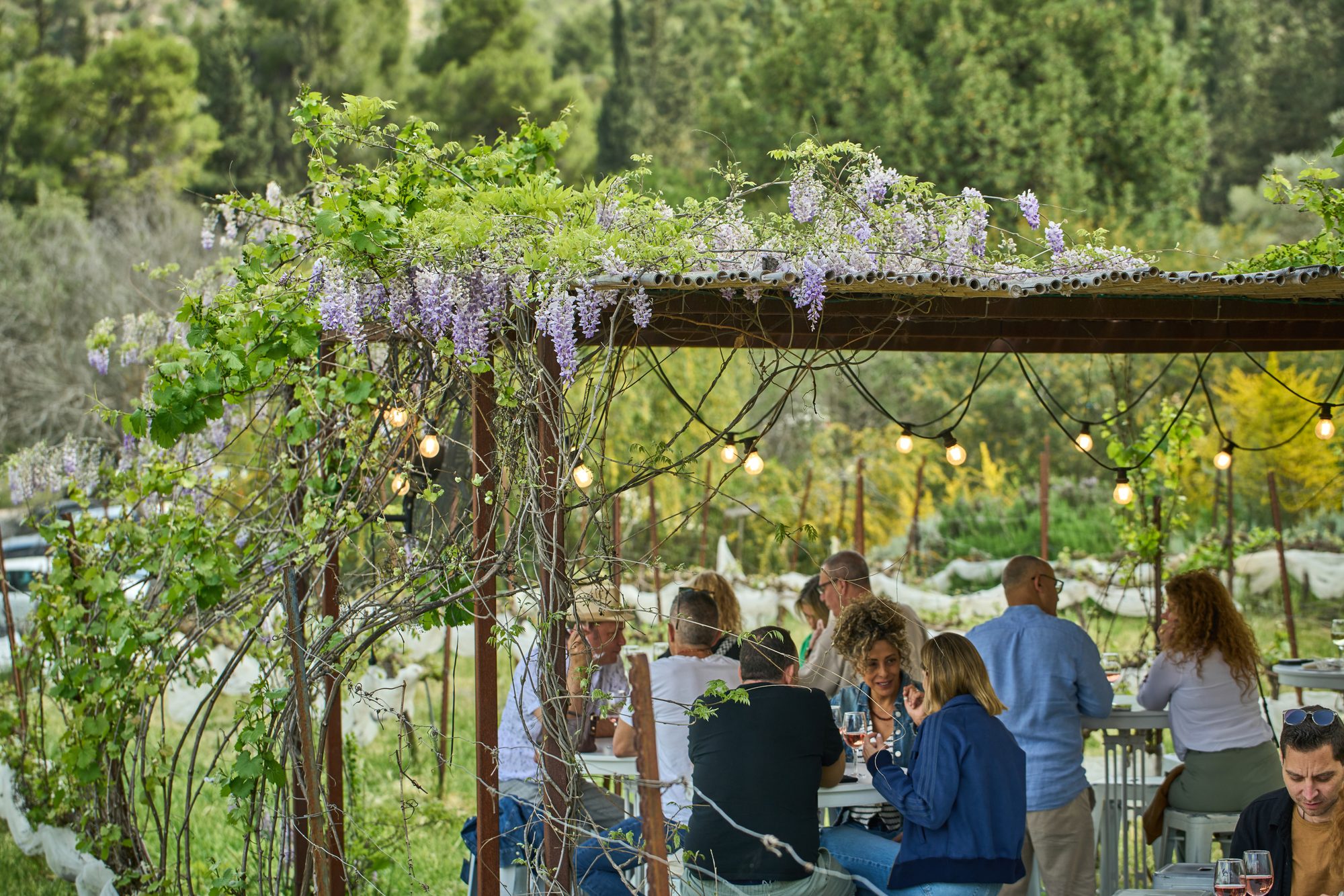 Private event on the winery terrace